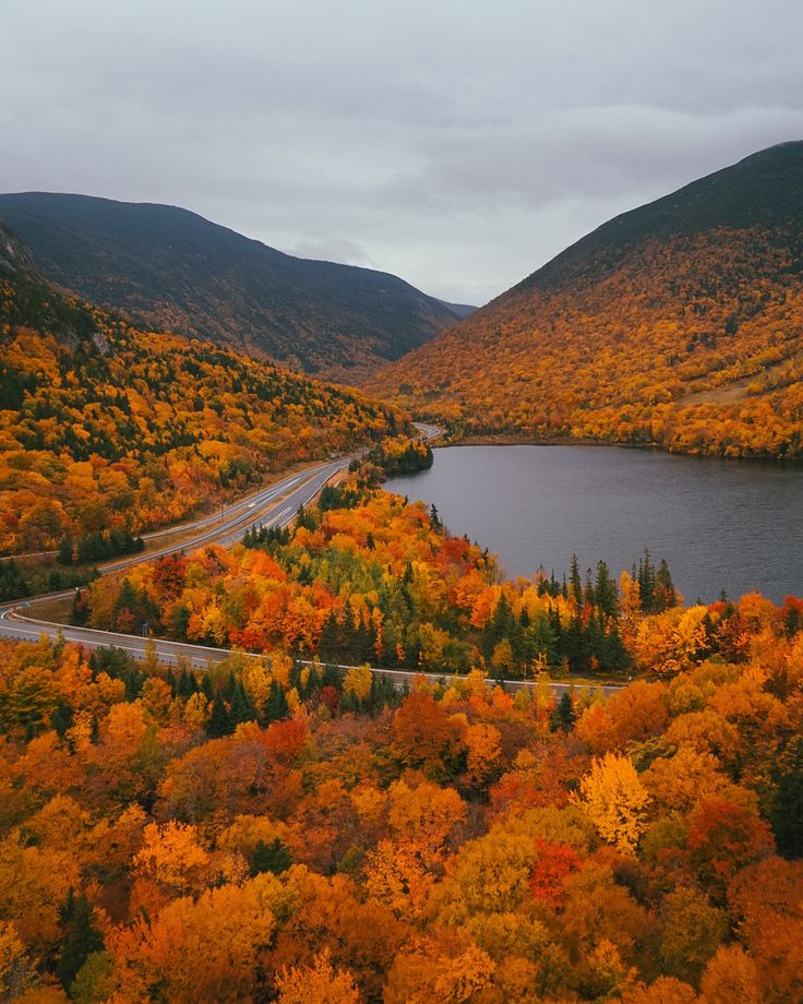 an aerial view of a winding road surrounded by colorful trees