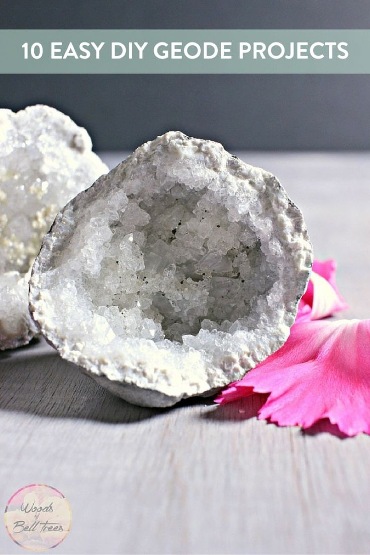 two pieces of rock sitting on top of a table next to a pink flower and petals