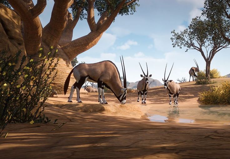 three antelopes drinking water from a pond in an arid area with trees and rocks