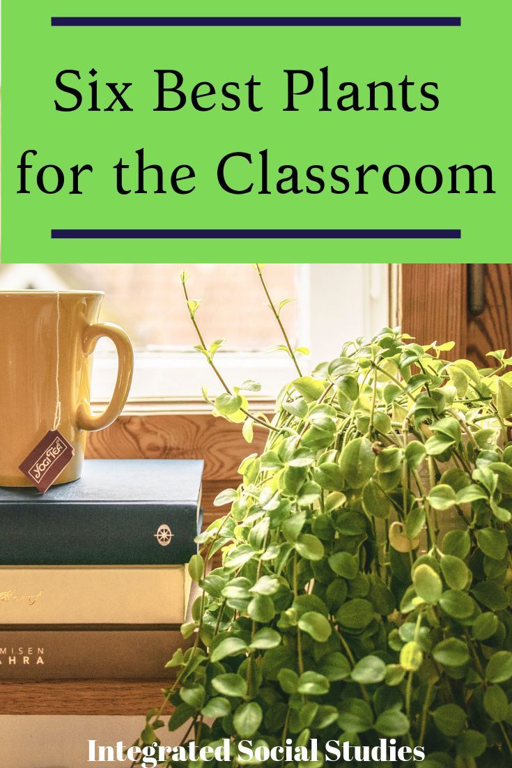 a stack of books sitting on top of a window sill next to a potted plant