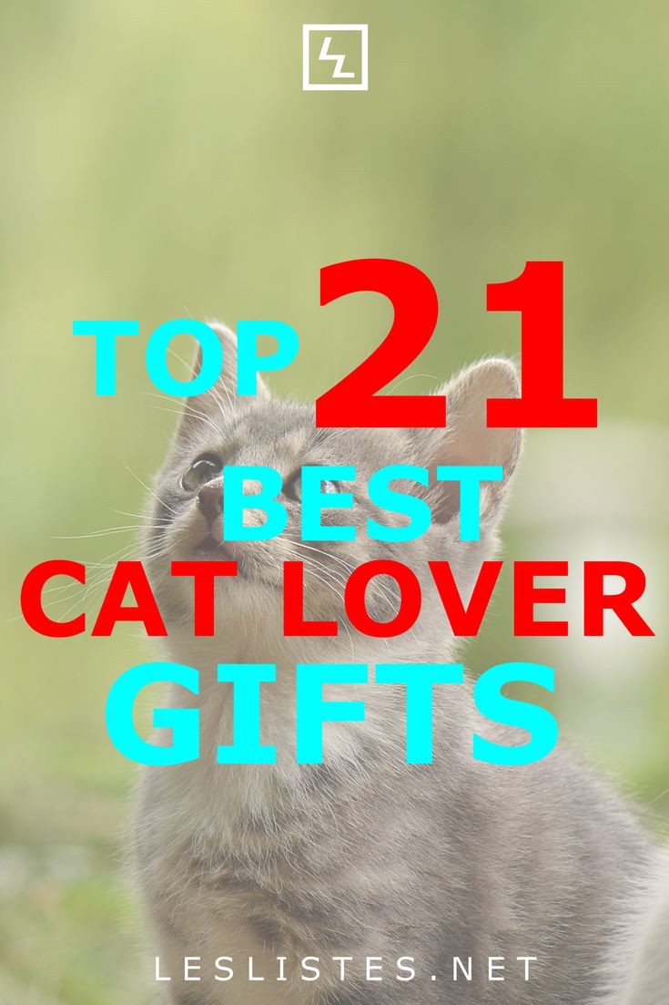 a gray cat with the words top 21 best cat lover gifts on it's back