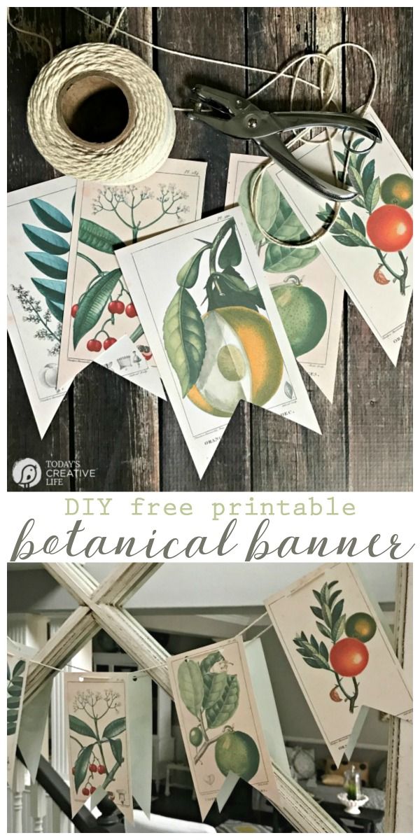 an assortment of fruit and vegetables are hanging from clothes pins on the clothes line, with text overlay that reads diy free printable botanical banner