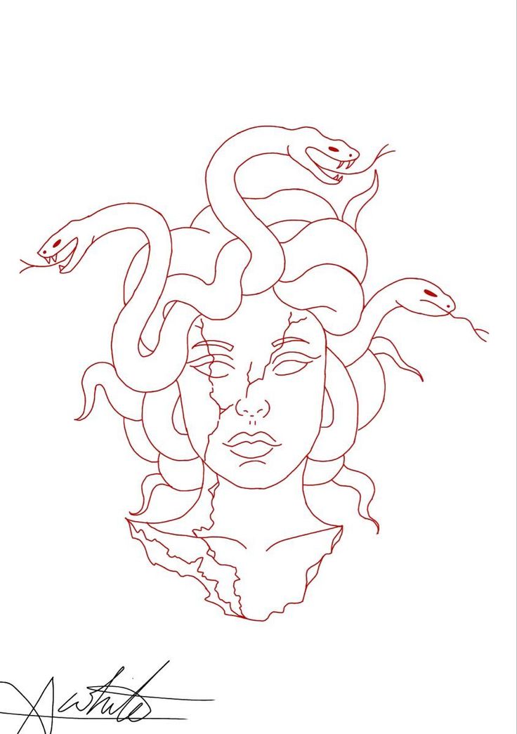 a drawing of a woman with snakes on her head