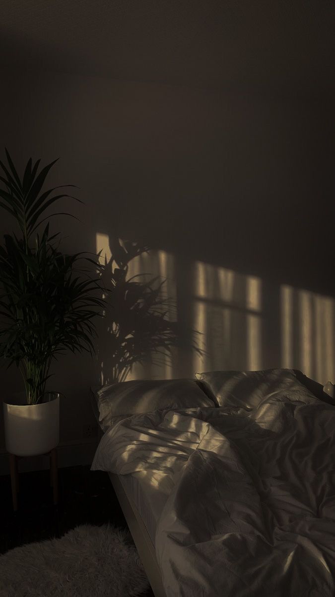 a bed with white sheets and pillows in front of a potted plant on the floor