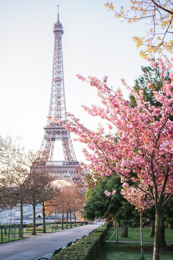 the eiffel tower is shown in blue and green with pink flowers on it