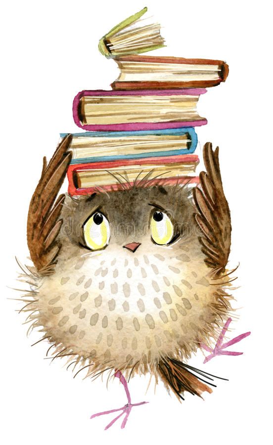 an owl with books on its head