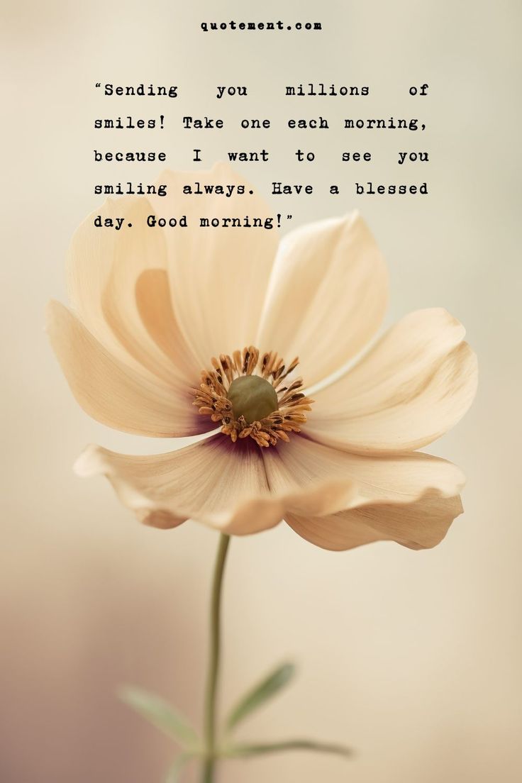 Starting the day with a positive attitude and a smile on your face can play a major role in how that day turns out. Here are some motivational have a beautiful day quotes that you can use as self-affirmations or share with someone who you believe needs to hear a few inspiring words to enjoy their day. Starting The Day Quotes, Have A Lovely Day Quotes, Have A Better Day, Amazing Day Quotes Inspiration, Special Day Quotes, Have A Happy Day Quotes, Beautiful Day Quotes Positivity, Its A Beautiful Day Quotes, Have A Lovely Day