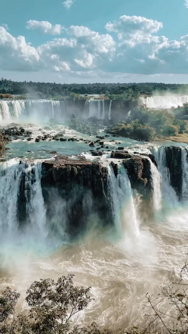 iguana falls in the middle of a river with water flowing down it's sides