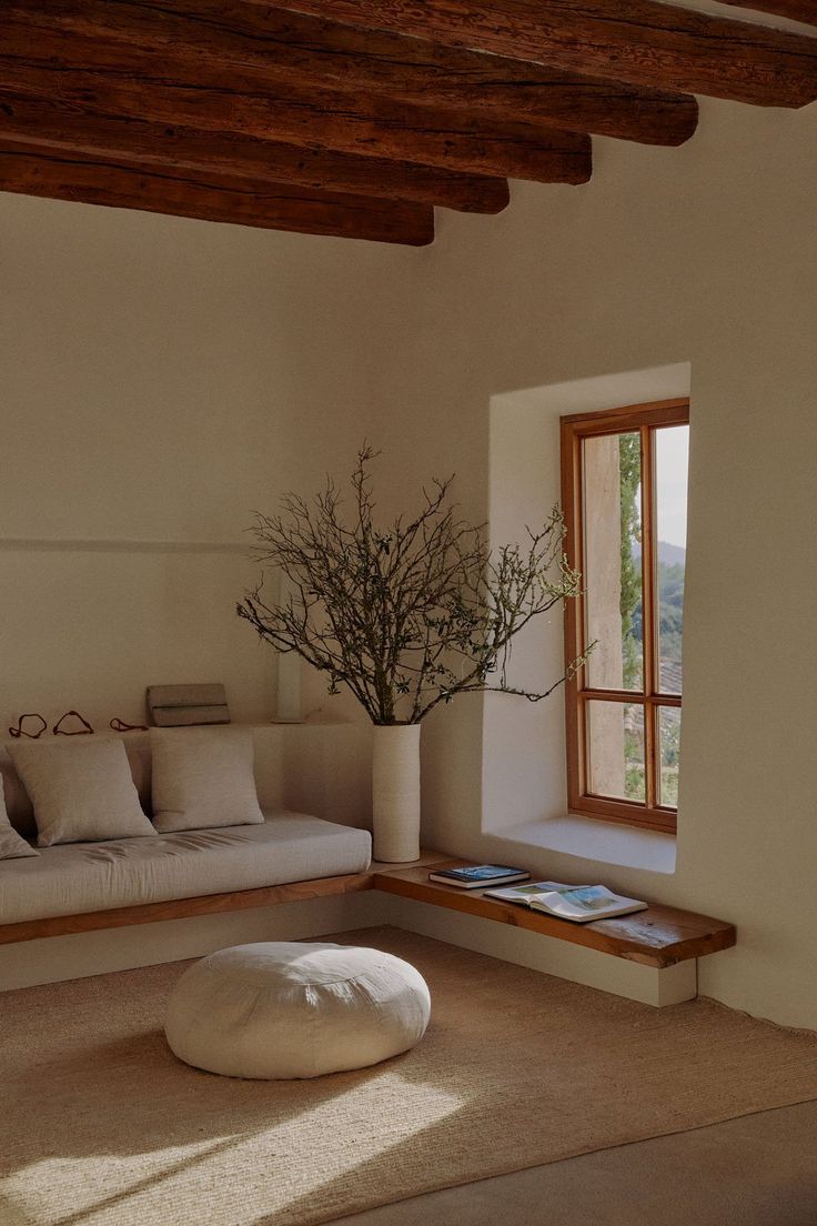 a living room filled with furniture and a large potted plant in the window sill