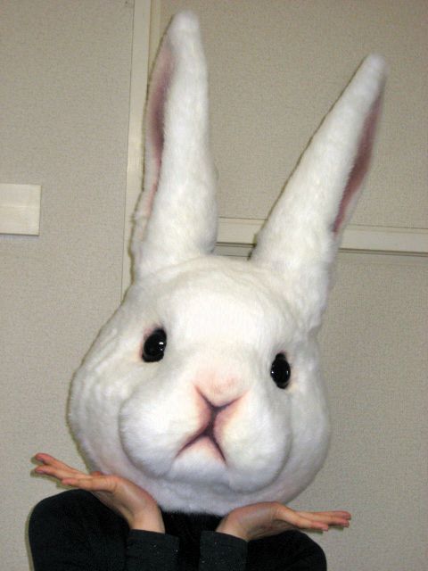 a person wearing a white bunny mask with their hands in front of the camera,