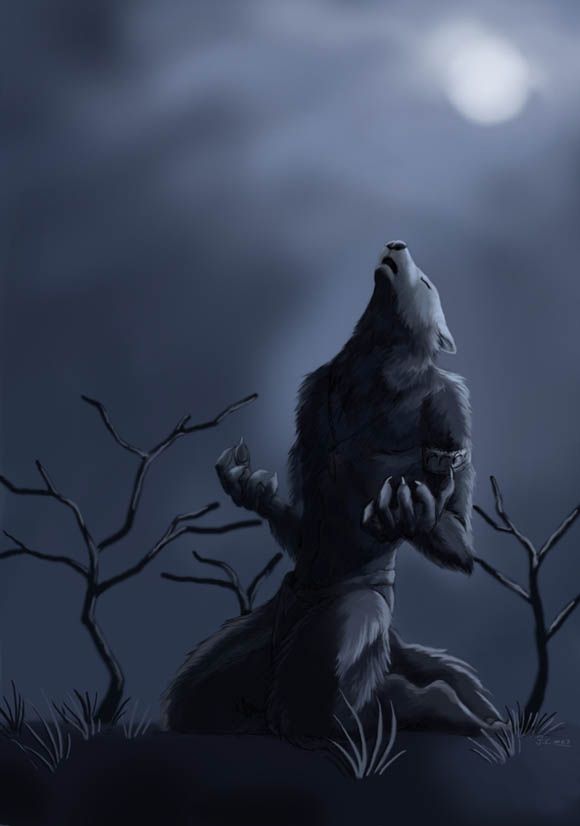 a wolf sitting on the ground in front of some trees at night with moon and clouds