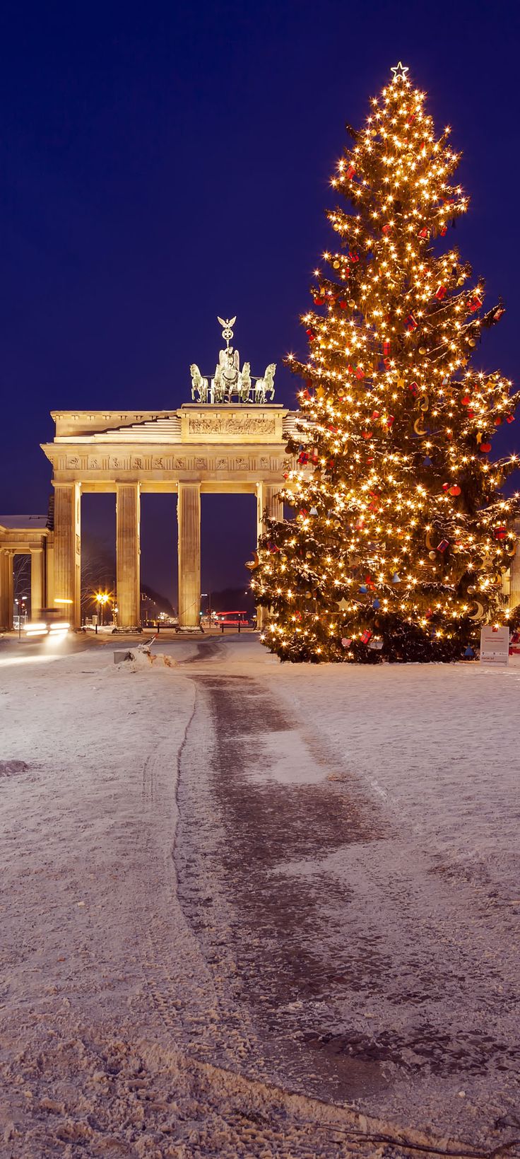 a large christmas tree sitting in front of a tall building with lights on it's sides