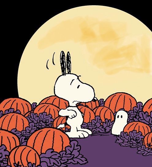 a charlie brown halloween scene with pumpkins on the ground and a full moon in the background