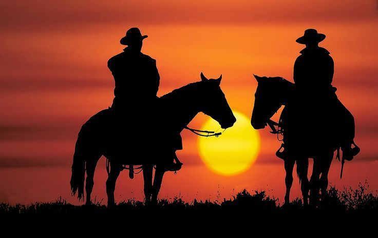 the silhouette of a man on a horse at sunset