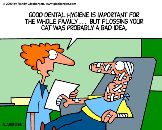 Dental Humor Dental Hygiene Humor, Dentist Jokes, Teeth Humor, Dental Quotes, Dental World, Dental Insurance Plans, Dental Jokes, Dental Hygiene School, Dental Fun