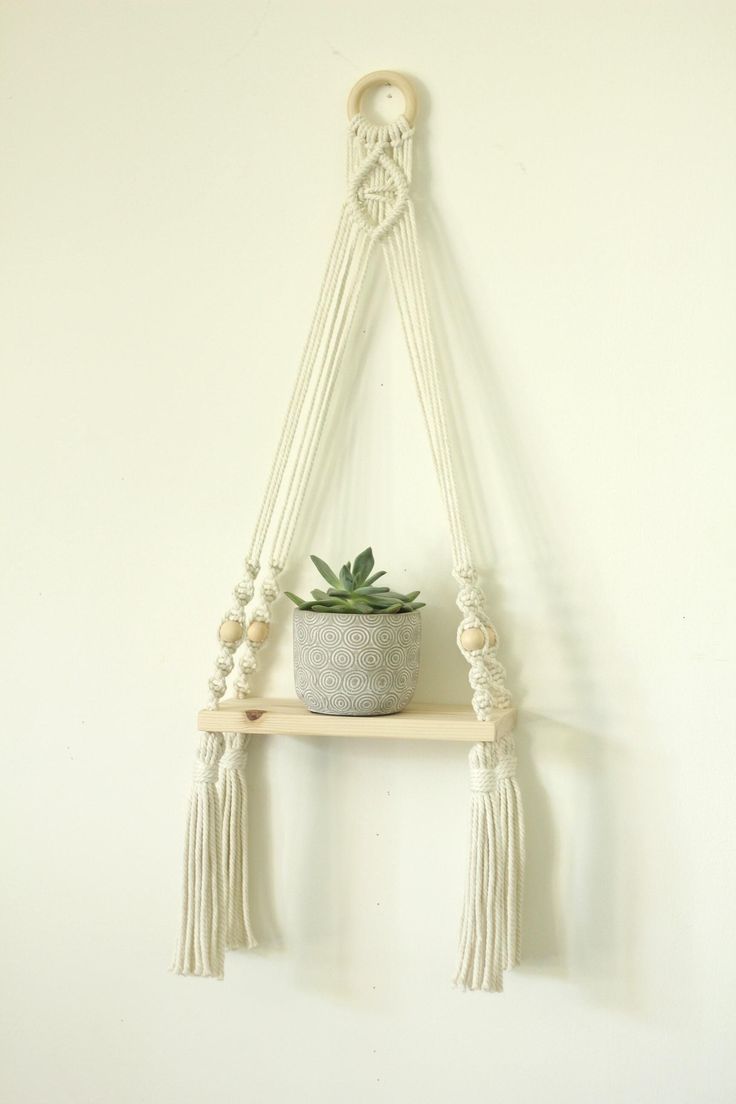 a potted plant sitting on top of a wooden shelf next to a white wall