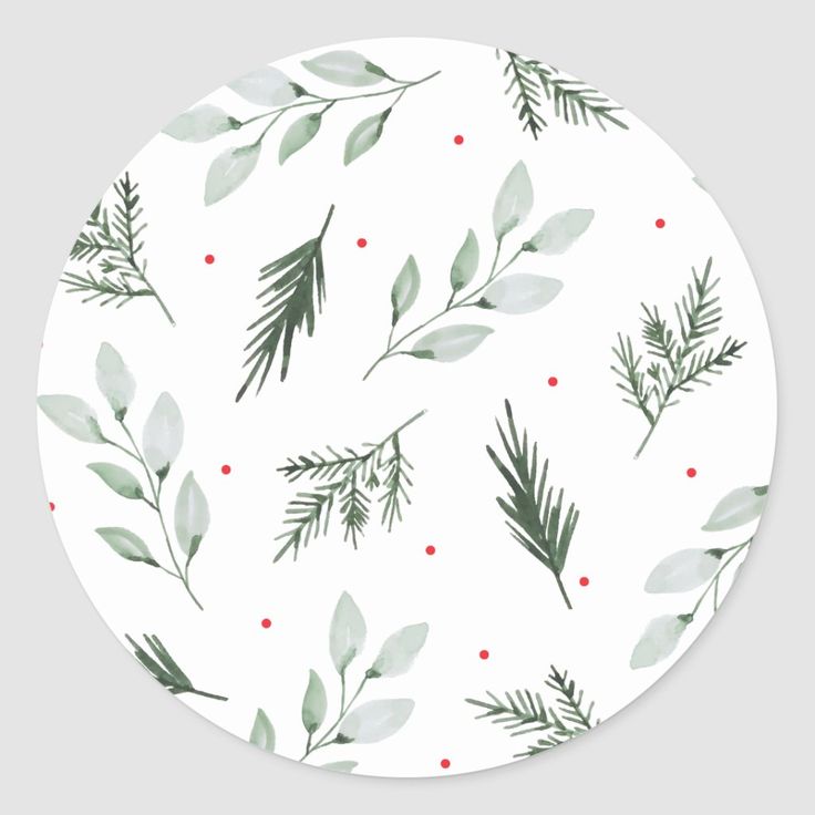 a white plate with green leaves and berries on it's side, surrounded by red dots