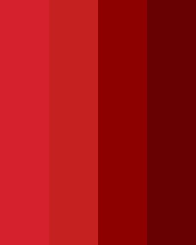 the color red is an excellent combination with other colors to use in this design scheme