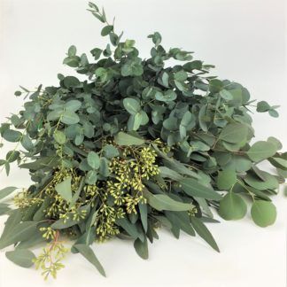 a bunch of green leaves and plants on a white surface with one plant in the middle