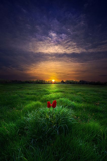 a field with grass and the sun setting in the distance, with an inspirational quote on it