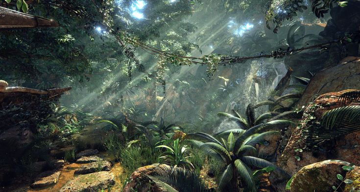 the jungle is full of tropical plants and rocks, while sunlight streams through the trees