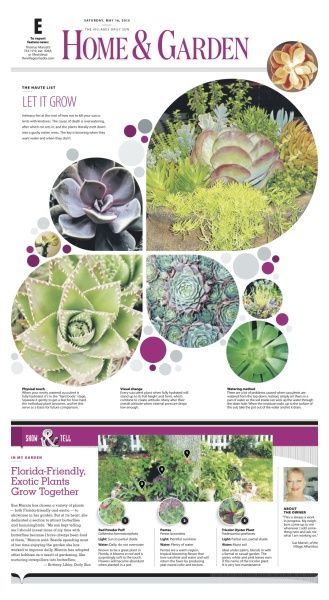 the brochure is shown with pictures of plants and flowers in it, including succulents