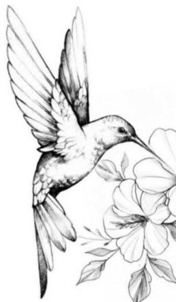 a drawing of a hummingbird flying over flowers