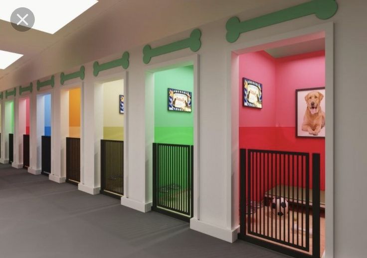 there are many different colored walls in this room with dogs on the doors and behind them is a dog kennel