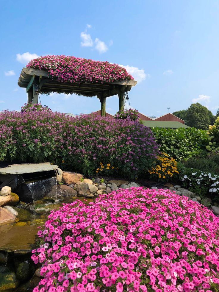 the flowers are blooming all over the park and in the water feature, which is surrounded by rocks