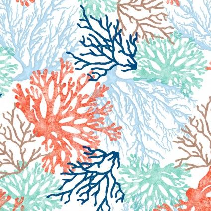 an image of corals and seaweed on a white background