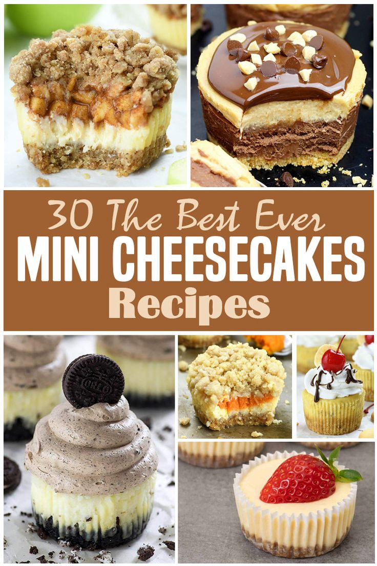 the best ever mini cheesecakes and desserts to bake or bake