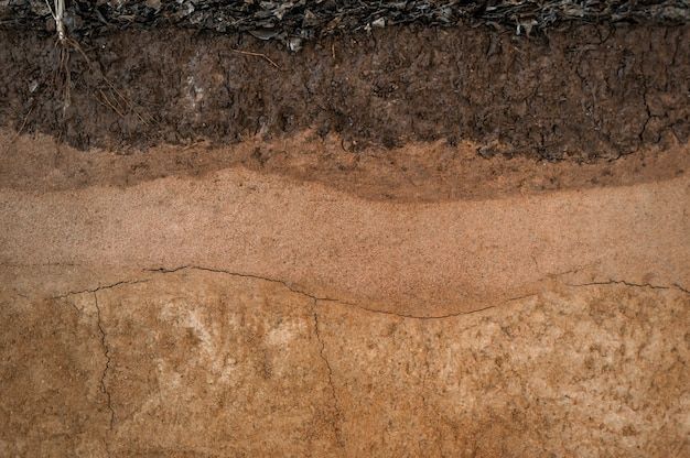 an image of soil layers with grass growing on top and dirt in the bottom layer