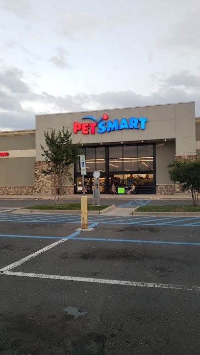 a pet smart store in the middle of an empty parking lot