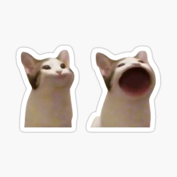 two white cats with their mouths open sticker