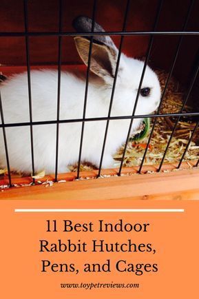 a rabbit in a cage with the words 11 best indoor rabbit hutches, pens and cages