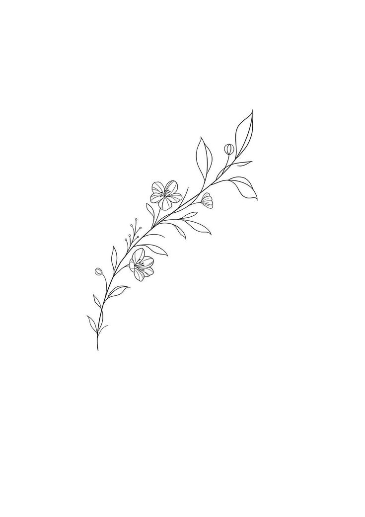 a line drawing of flowers on a white background