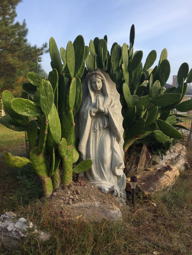 a statue in the middle of a cactus garden with a virgin mary on it's back