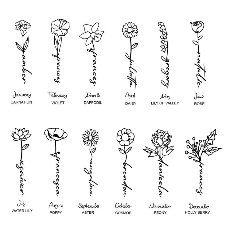 the different types of flowers that are drawn by hand on a white sheet with black ink