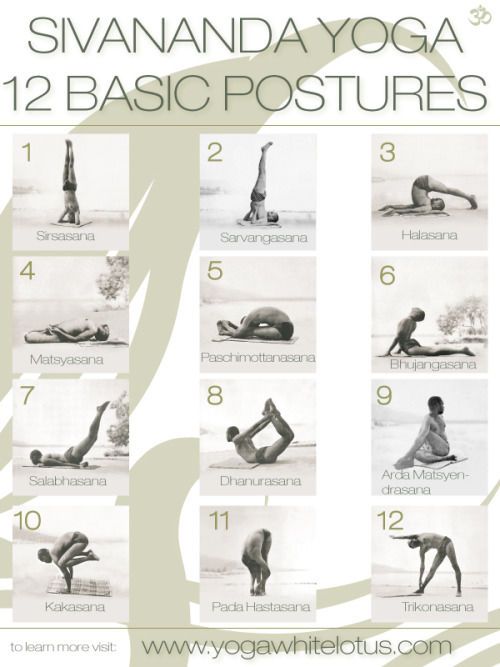 the yoga poses for beginners are shown in this poster, with instructions on how to do