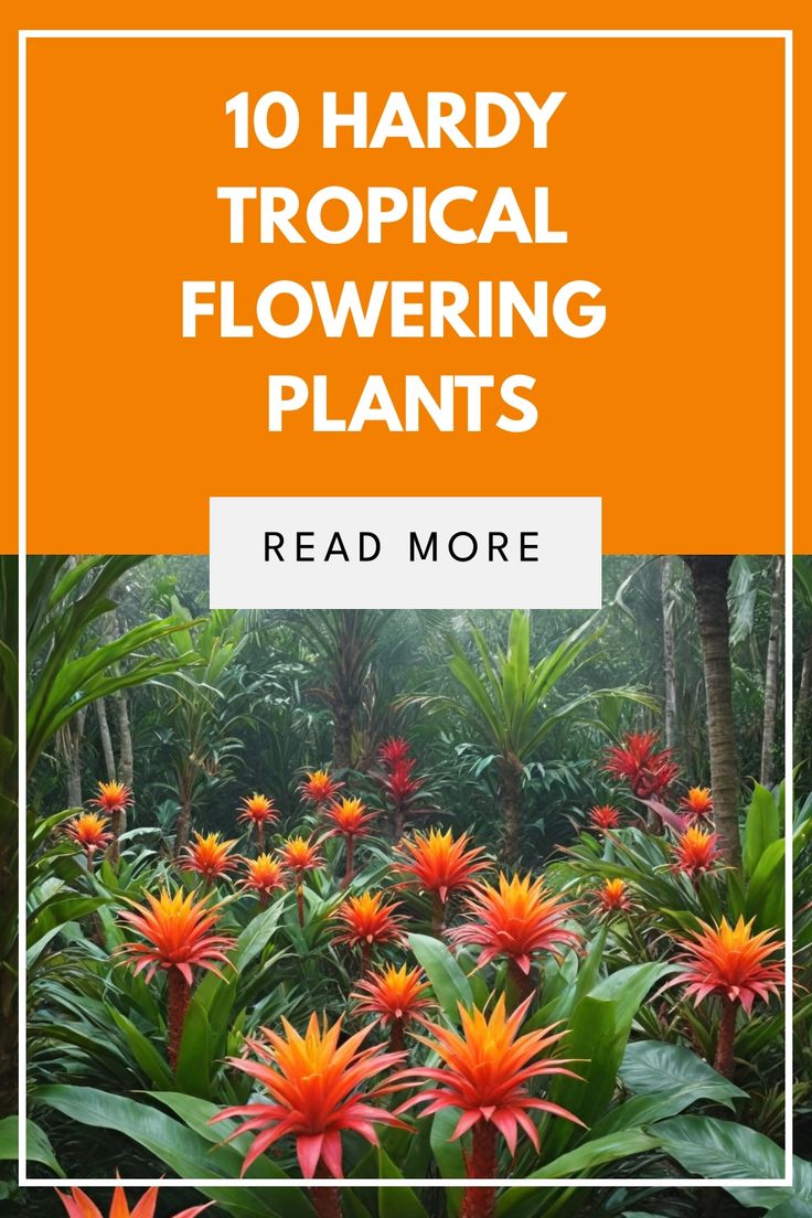 the words 10 hard tropical flowering plants read more on an orange and white square frame