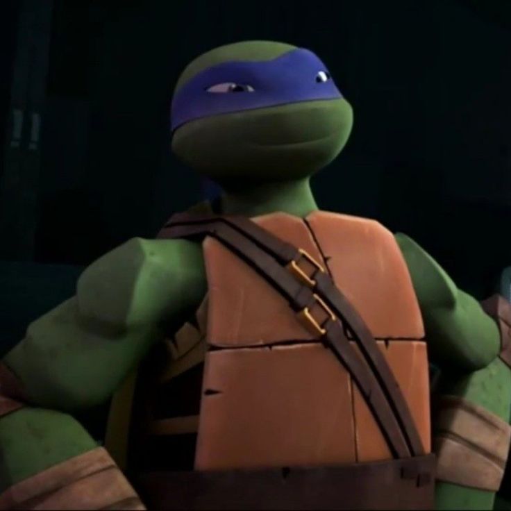 the teenage mutant in teenage mutant turtles