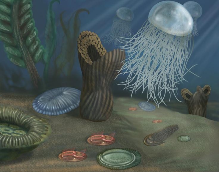 an underwater scene with jellyfish and seaweed