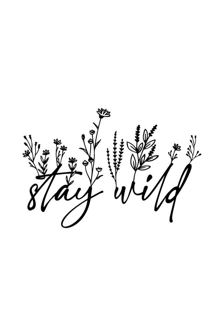 Stay Wild SVG | Flower SVG | Nature SVG | Wild Flower SVG | Flowers SVG Be A Wildflower Tattoo, Stay Wild Flower Tattoo, Bull Skull Tattoo Women Chest, Do What Makes You Happy Tattoo, Live Wild Tattoo, Run Wild Tattoo, Stay Wild Tattoo With Flowers, Leave Her Wild Tattoo Flower, Wild And Free Tattoo