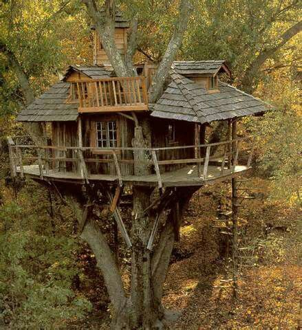 a tree house in the middle of some trees