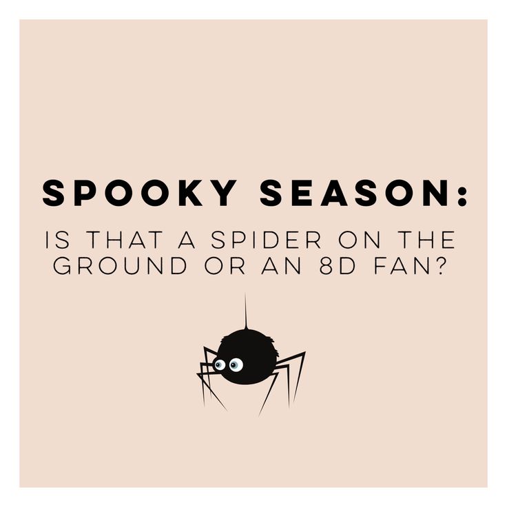 a spider with the caption spooky season is that a spider on the ground or an 8d fan?