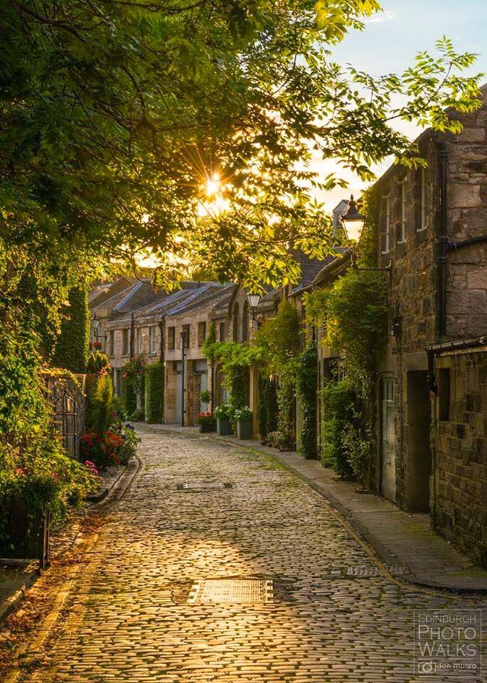 an old cobblestone street with trees lining the sides and buildings on either side