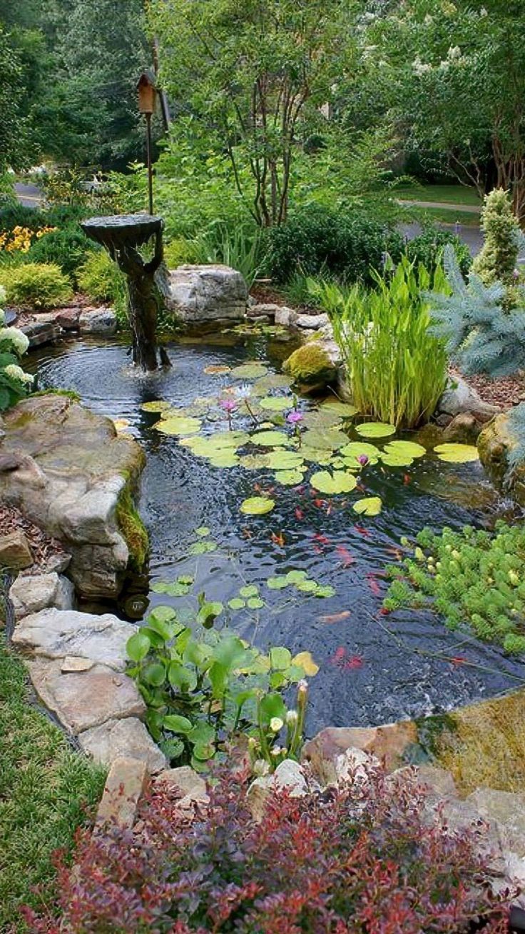 a pond with water lilies and plants around it