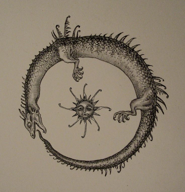 an ink drawing of a lizard with its mouth open