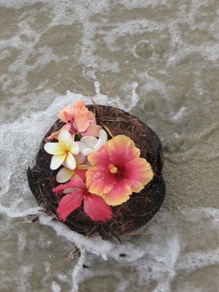 some flowers that are sitting in the sand