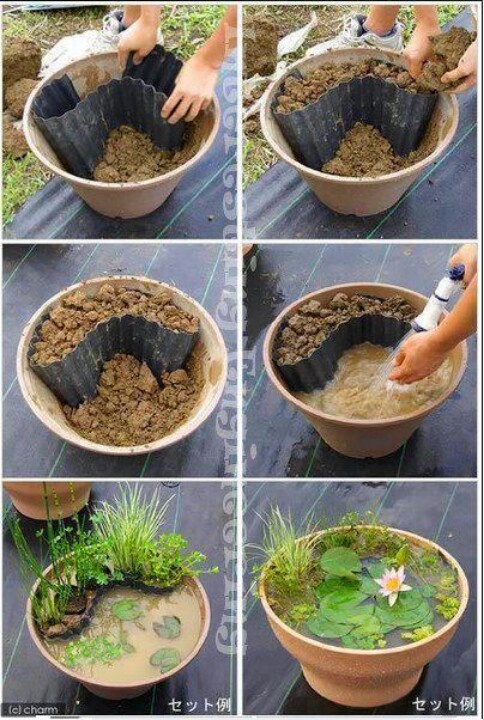 the steps to make a pond in a potted planter are shown with instructions